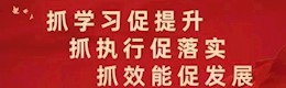 抓學(xué)習(xí)促提升抓執(zhí)行促落實抓效能促發(fā)展